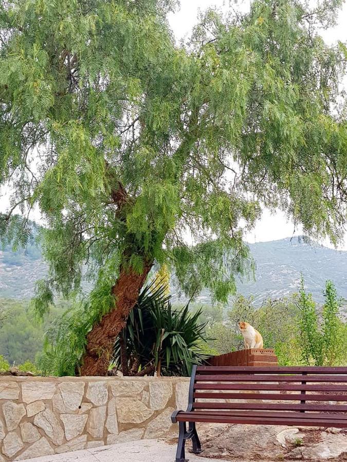 La Ultima Casa Masboquera Villa Mas Boquera ภายนอก รูปภาพ
